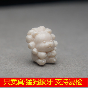 ��Ȼ�ͪw������̼� ̫����տ� С�{��  ����  DIY����С���