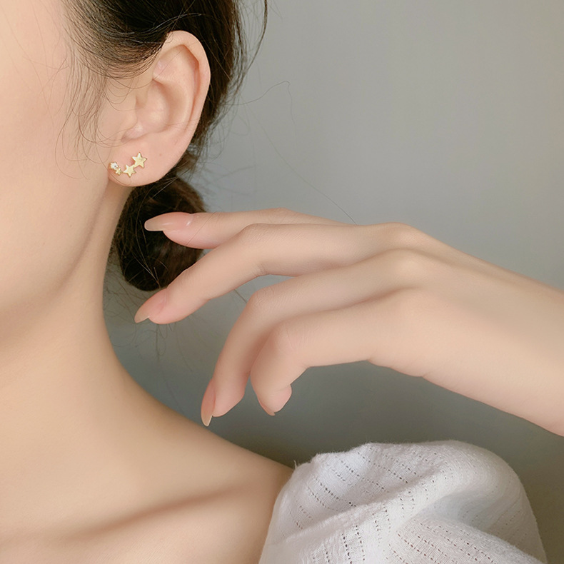 Fashion Star Copper Inlay Zircon Ear Studs 1 Pair