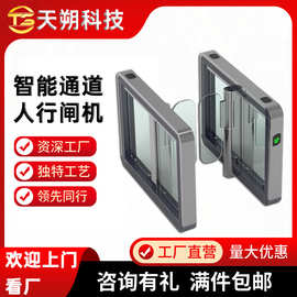 防撞智能摆闸人行闸入口人脸识别一体机考勤门禁进门出门口机闸机
