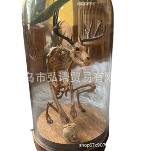 �羳��Ʒ��֬��ˇƷ����[�����^���t�˱��b�Ʒ