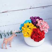 �S�ҬF؛���滨1.5~2cm��÷��õ��С�����YƷ��ϲ�Ǻл��h�b�