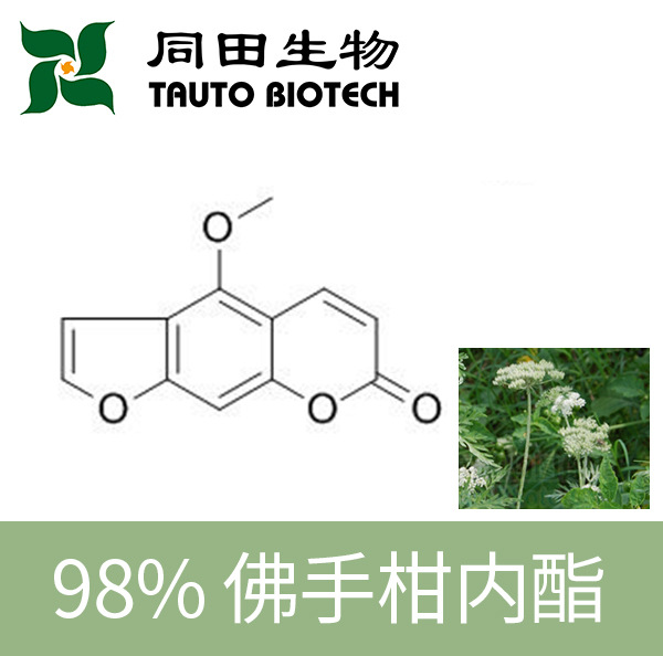 98% 高品质 佛手柑内酯 484-20-8 10mg-100kg源头厂家