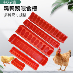 鶏の食槽鶏とアヒルのガチョウに餌を与えます。