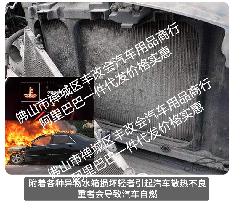 Suitable for Leapmotor D99 pure electric version/rechargeable version, integrated welded car insect-proof mesh, special accessory for the front grille