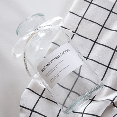 Nordic-inspired transparent glass vase with a round mouth, crystal small brown bottle, hydroponic flower arrangement, green plant decoration, ornamental piece