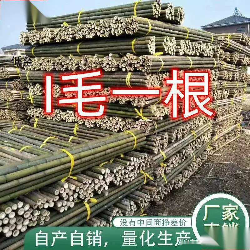 竹竿子搭架竹架子竹子杆菜园豆角黄瓜西红柿瓜果蔬菜架杆园艺支架