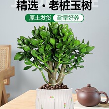 ����Ϙ��������Զ���ֲ���҃��ļ����B�Gֲ�����՚��ļ����G����