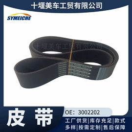 其他发动系统;油泵、油嘴;点火模块
