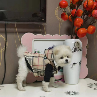 �ﶬ��ů�����·� ̩�Ϸ��������R����˹��С��Ȯ�����R�׷��