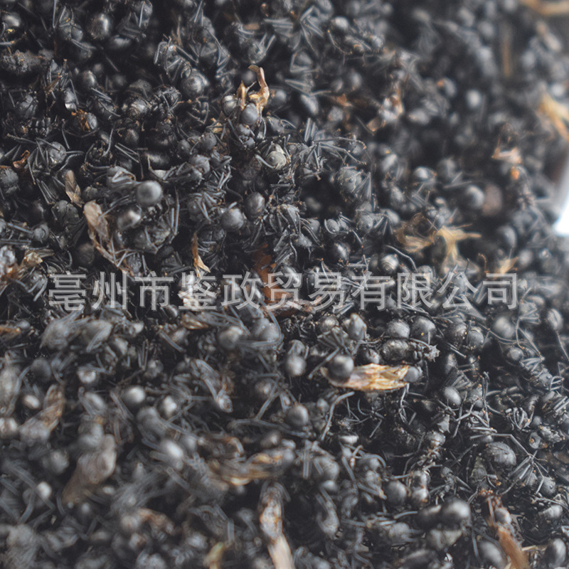 Dried Black Ant Whole Insect 500g Traditional Chinese Herbal Material for Infusion and Decoction Use key features