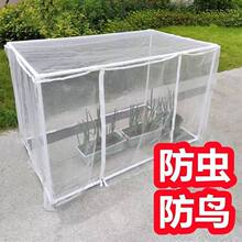 防鸟罩花盆防虫网 多用途防猫蚊蝇罩 蓝莓幼苗保护网罩 PVC材质园