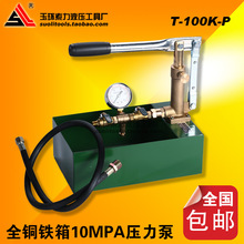 索力液压工具 T-100K-P 手动试压泵 全铜 铁箱 100MPA水压泵 包邮