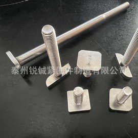 四方螺丝 六角螺丝 T型螺栓 不锈钢螺丝异型非标定制M8M10M16M8