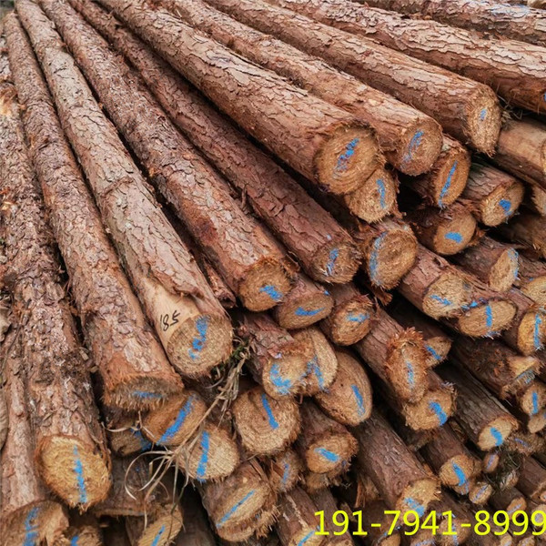 Fir poles