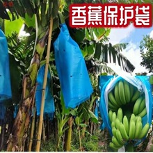 �㽶���o���㽶�䌣���״��۽����x�Ž��O������������������̫��