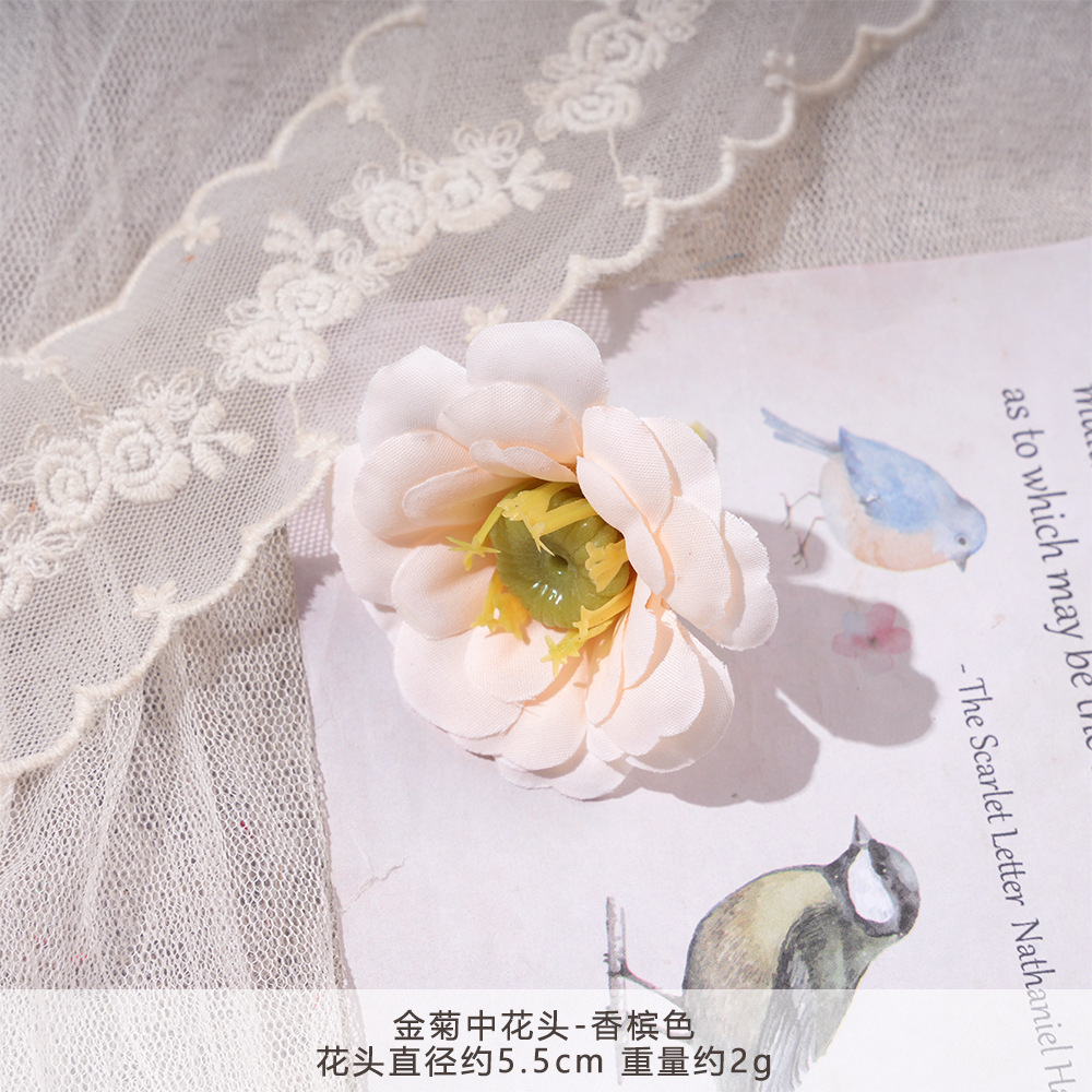 YG-황금 국화 중간 꽃 머리-샴페인