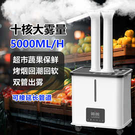 新款30升超声波工业加湿器大容量大雾量十核双管车间增湿烤烟回潮