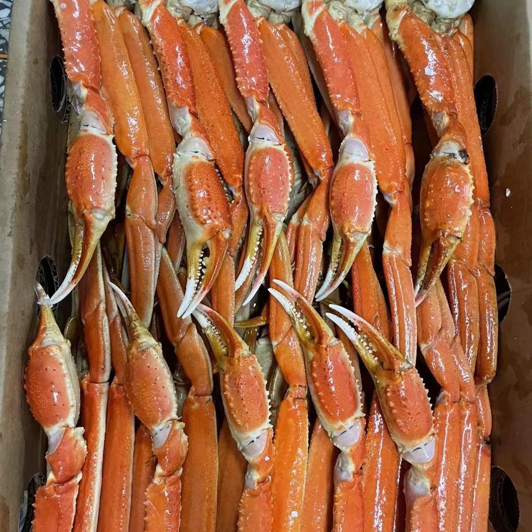 雪蟹脚3L规格 5KG装 日料餐饮雪蟹 缓化即食 俄罗斯雪蟹腿