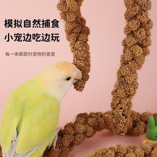 ��������ӎ����S�������P��Ƥ����B�Z���B�W�^�Bʳ�}������Zʳ