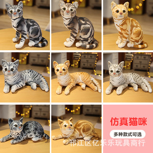 �羳؛Դ����؈�乫�пɐ�ë�q������޼ҾӔ[��Ů����ż�Y�����l