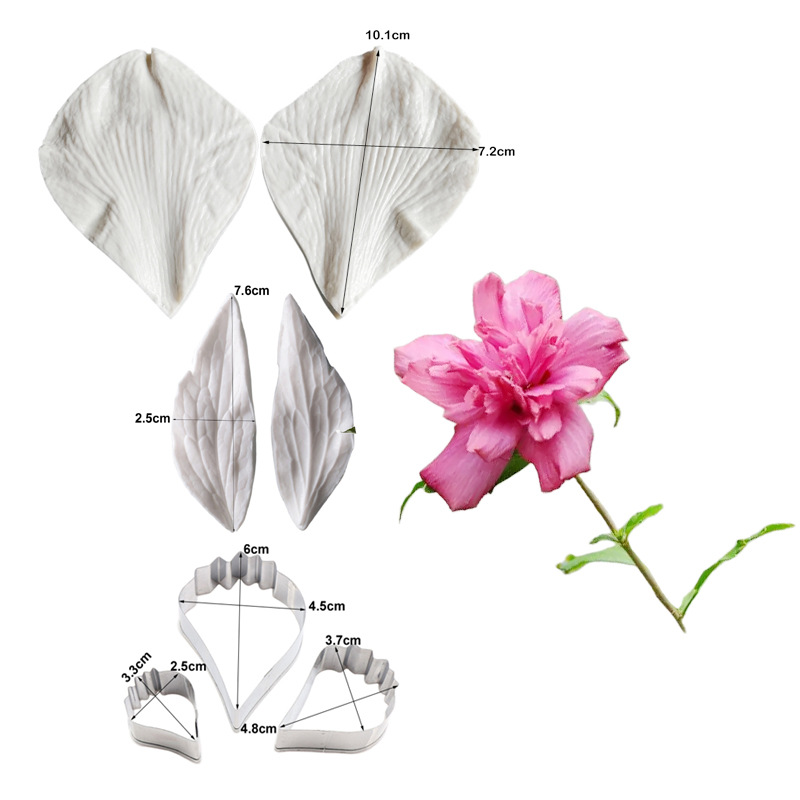 섹션 8 (히비스커스 꽃) M2489 M2152 SSM036