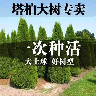 �ؘ䉞�ؘ����������ļ������ɰؘ�Ȱ���u���،����������ͺ�
