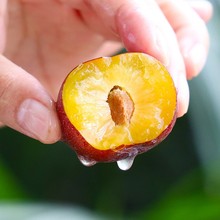 ��t���Ĵ������P�����´����rˮ��Ó��������߅�t��t��������