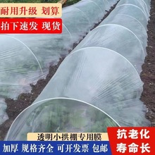 拱棚膜种植保温塑料薄膜塑料膜膜农用塑料纸透明防寒防霜种菜地膜