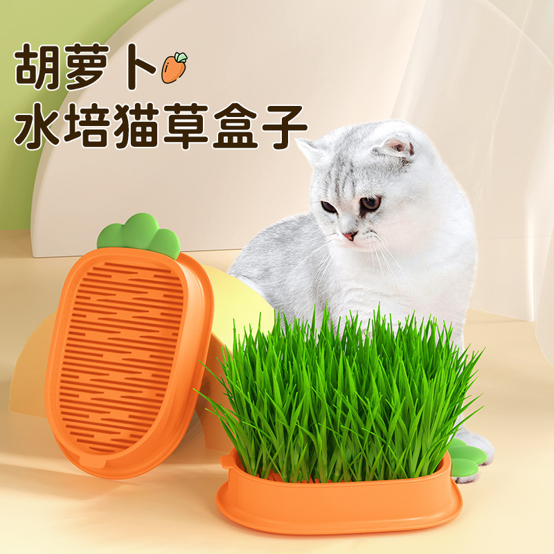 Cross-Border New Carrot Cat Grass Box Soilless Hydroponic Planting Box Cat Snack Catnip Planting Pot Set