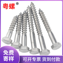 304/316���P䓰����������Թ��ݽz���^���Lľ�����˨W6810DIN571