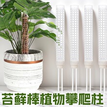 ̦�\��ֲ��������Ҭ�ذ�������ˮ̦��֧�ΗU�̶���̦�\�G�}�ʸ���