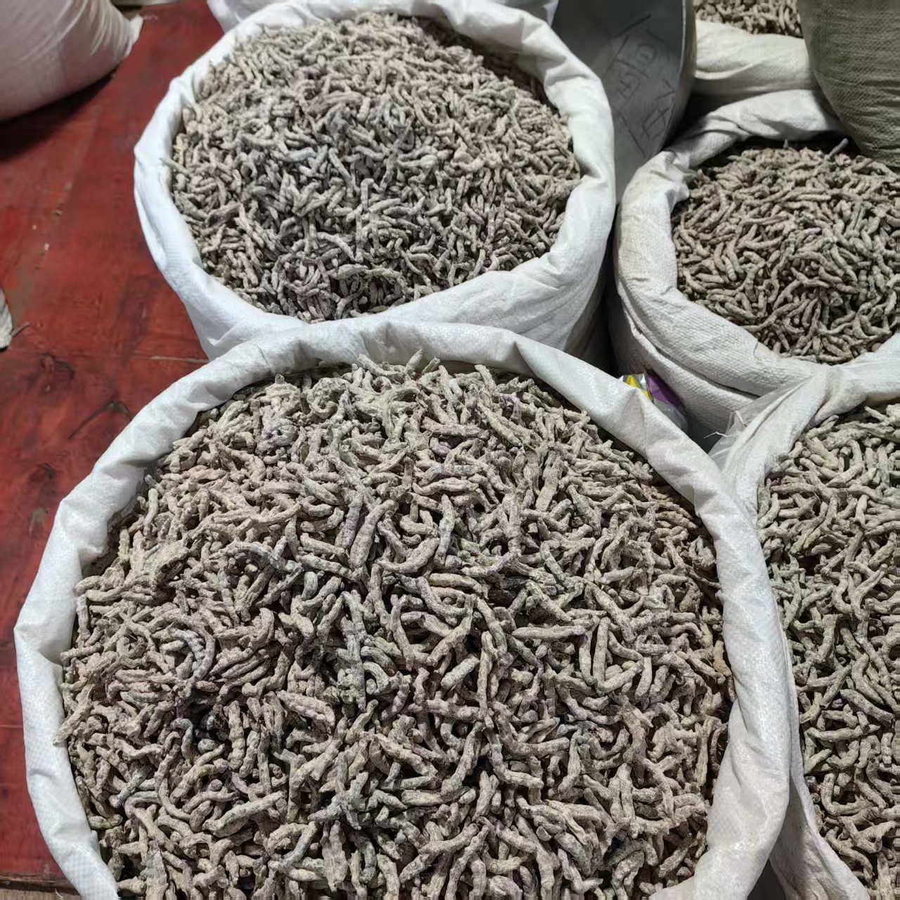 White Silkworm Jiang Can 500g Yunnan Sun Dried Bombyx Batryticatus Traditional Chinese Herb specifications