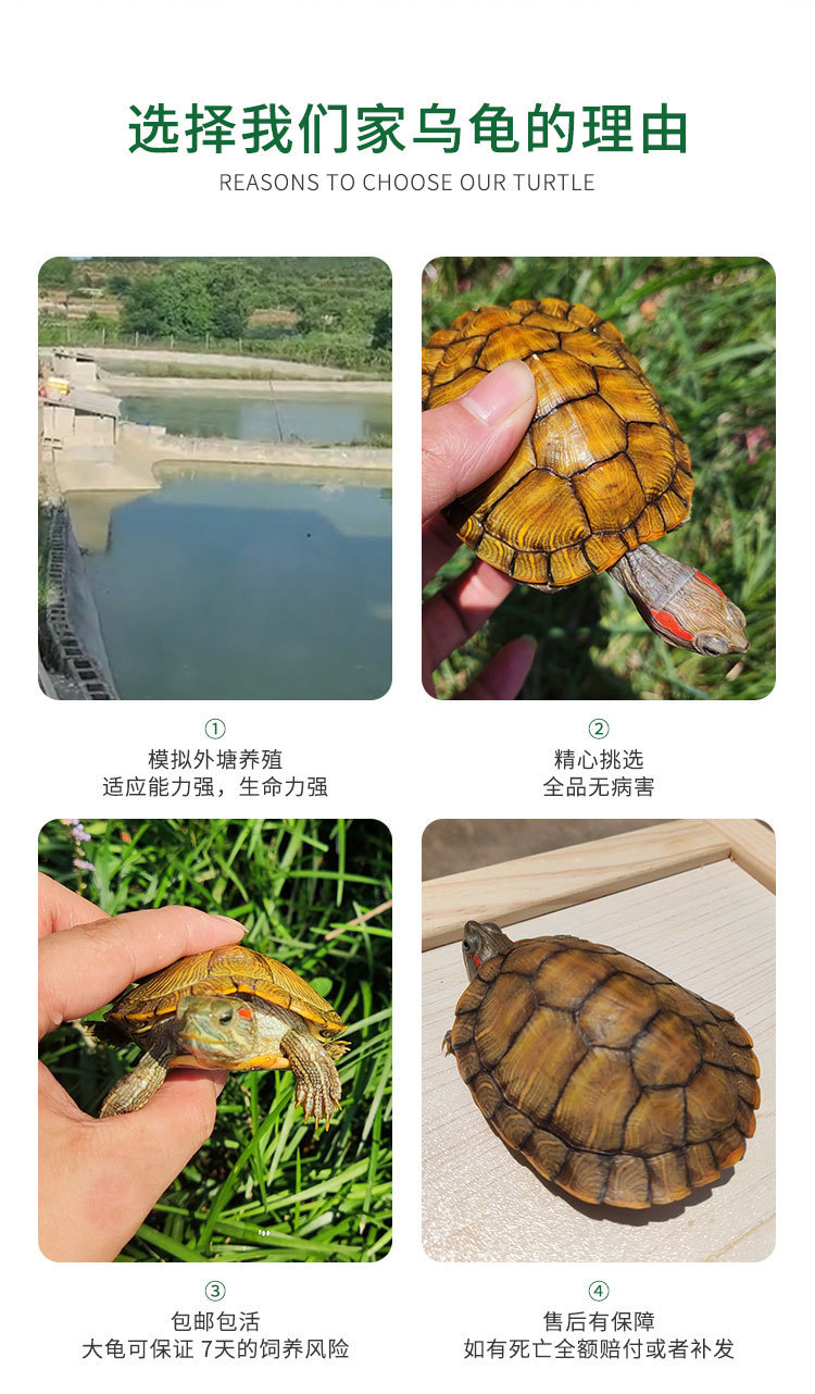 73014cef-429d-457b-8fe7-cddde8de0acc.jpe