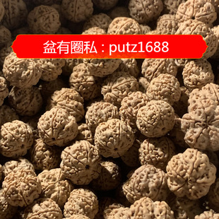 ����P����������ɢ�������ִ��P�������ִ���������؛�����Ჴ��