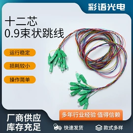 光纤跳线;连接器;配线架