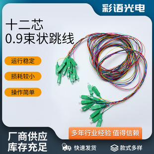 Twelve core 0.9 bundle jumper pigtail fiber optic cable connector telecom grade square head single mode fiber optic cable manufacturers wholesale