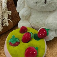 }ݮëq팙ﹷżС؈}ͯ̿ɐ