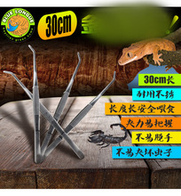 �����~ιʳ���ÓƤ���x��������֩��ιʳ���^30c�S���M����