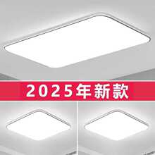 2025年新款LED吸顶灯客厅灯家用简约长方形大灯卧室灯具厂家批发