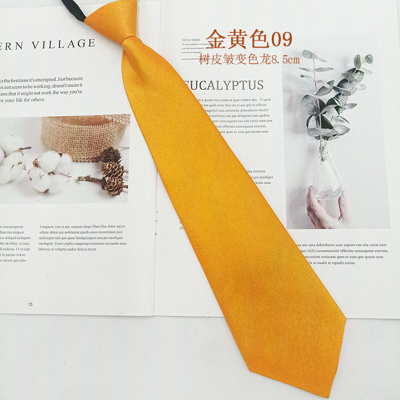 Los fabricantes venden al por mayor corbata con cremallera para mujer, fácil de tirar, sin estilo, moda de negocios profesional, corbata casual de color sólido para mujer