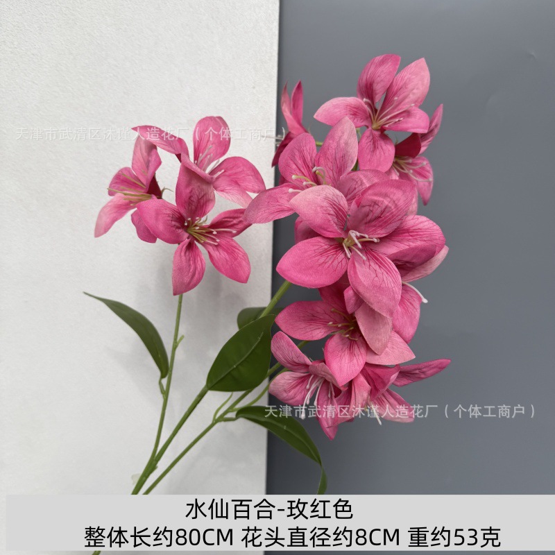 수선화 백합