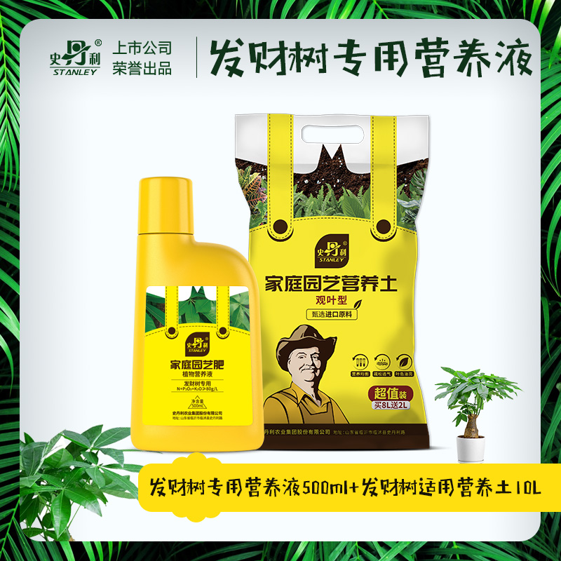 [머니트리 스페셜 세트] 머니트리 스페셜 영양액 500ml + 영양토양에 적합한 머니트리 10L