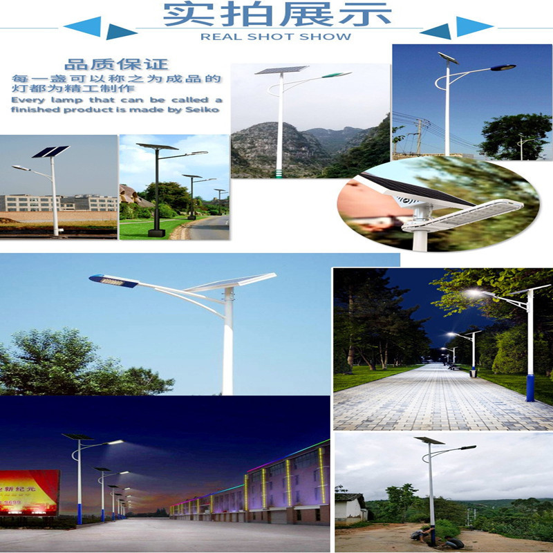 孔雀造型景观灯