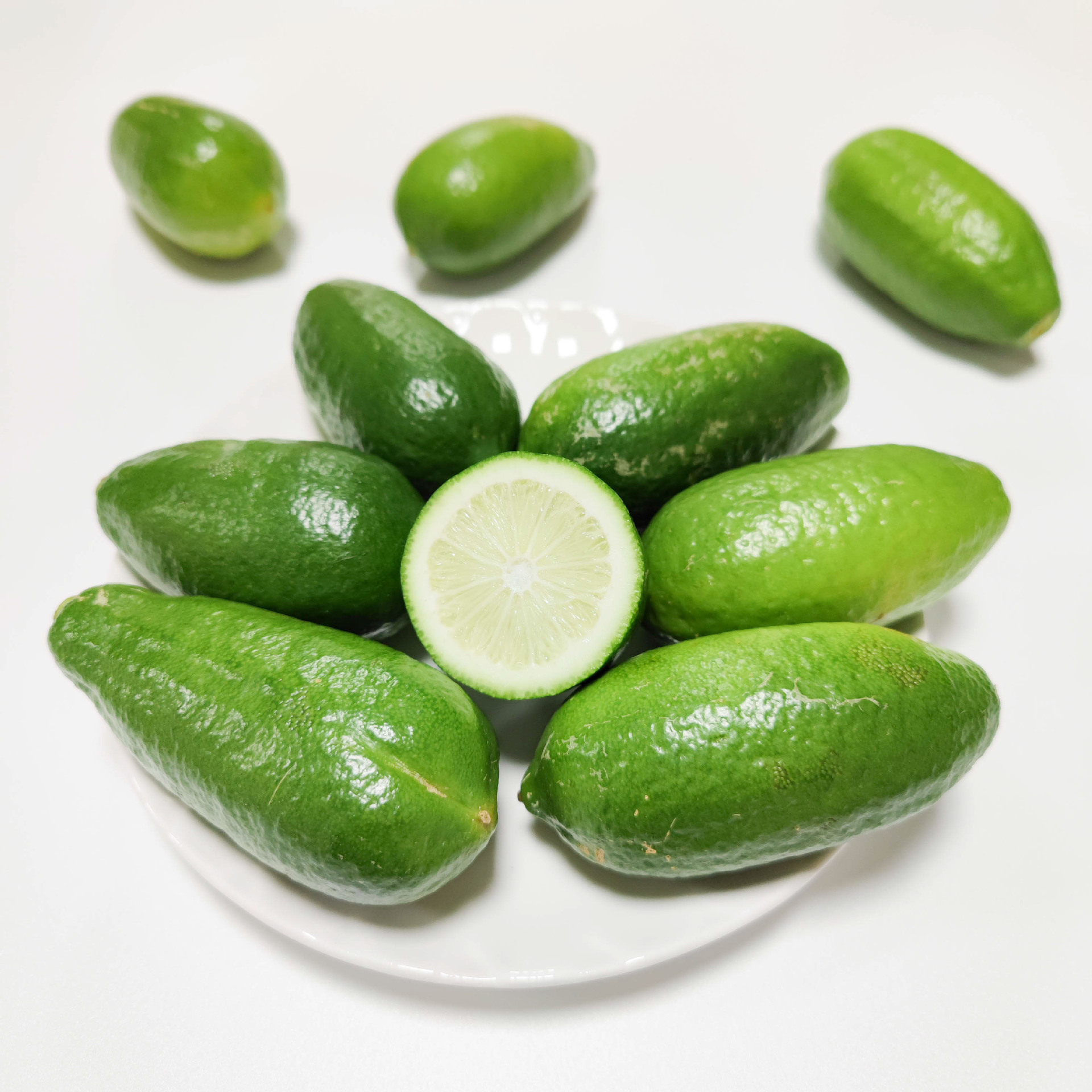 e6a6f430275cc8397399b6d91f7348