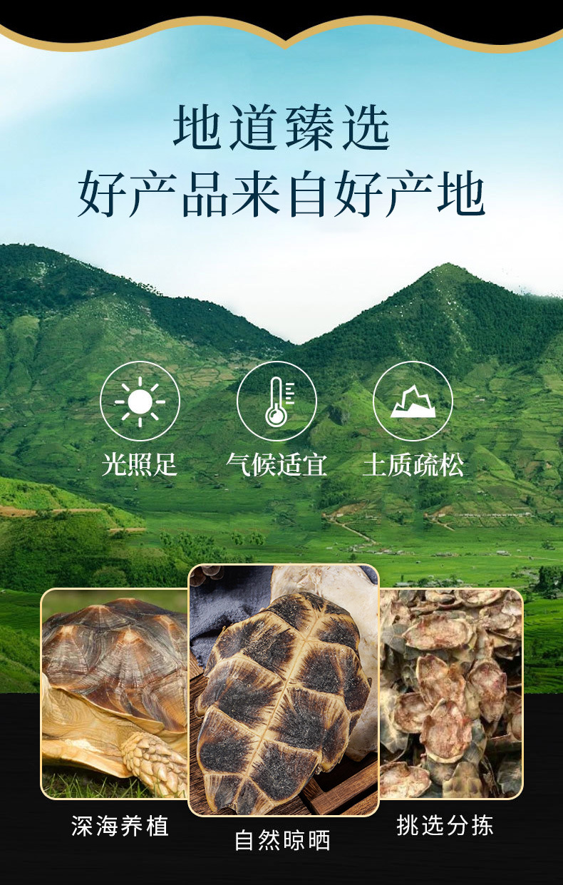 Gui Ban (Plastrum Testudinis) — Dried Turtle Shell Herb for Decoction & Soup overview