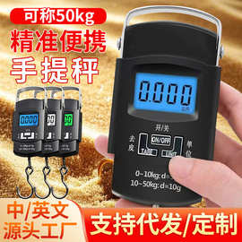 手提电子秤50kg便携吊钩行李钓鱼称小型跨境弹簧高精度厂家食物秤
