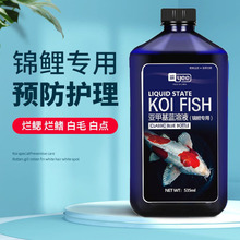 yee�\�������~ș���~șˮù��ë���w��β���c��������x�羳���l