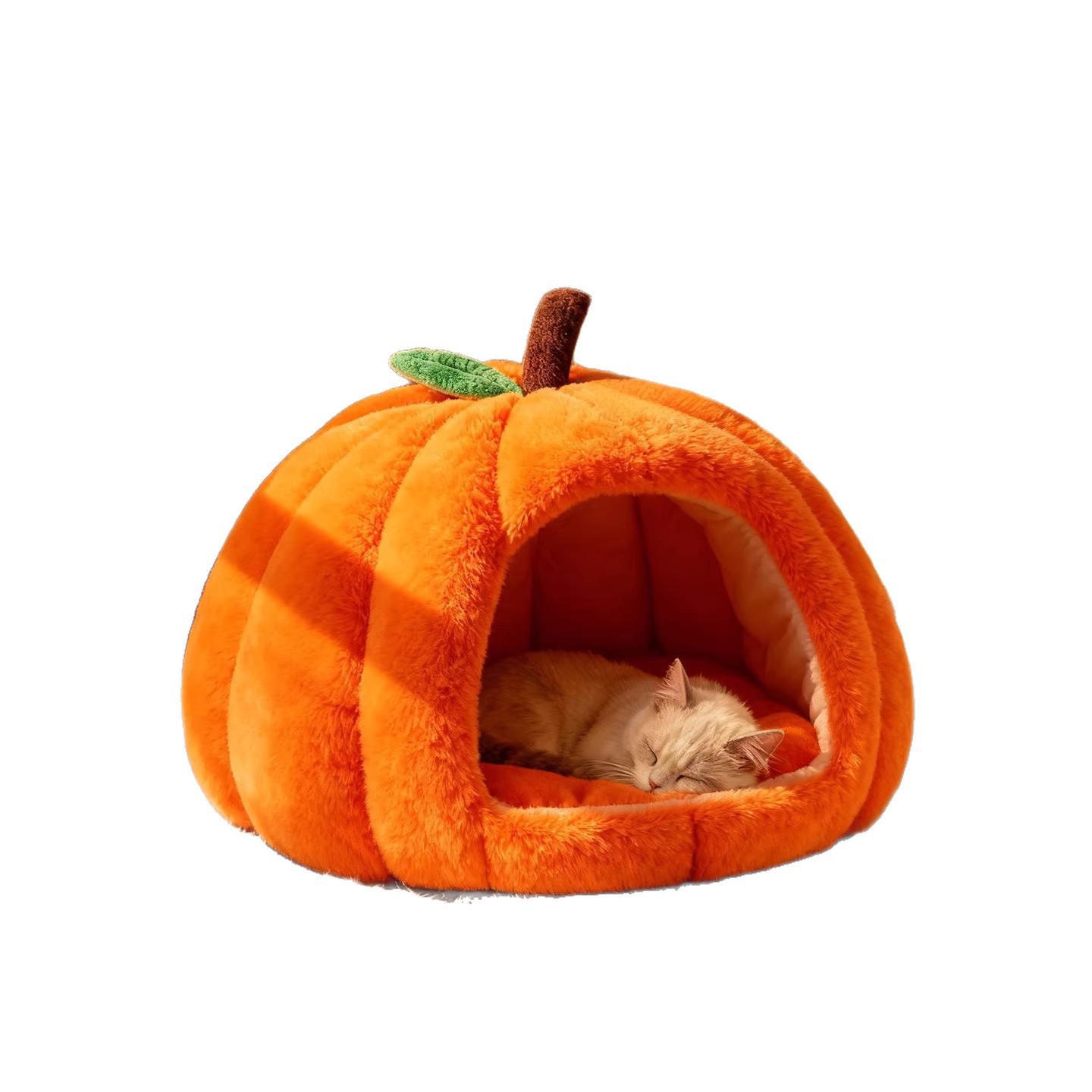 Fabricante de calabaza, gato, invierno cálido, perros, camas para gatos, artículos para mascotas, conejos, cerdos holandeses, general