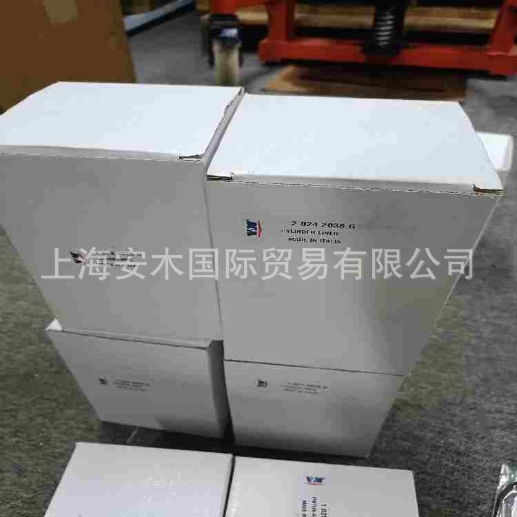 IMG20241210191637