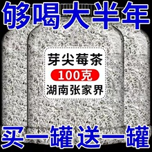 精选龙须莓茶张家界野生正品 湖南湘西土特产 张家界莓茶嫩芽快发